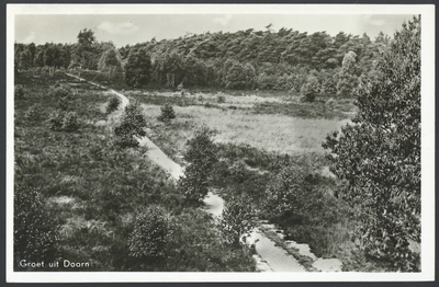 17678 Gezicht op een heideveld in de Kaapse Bossen bij Doorn.
